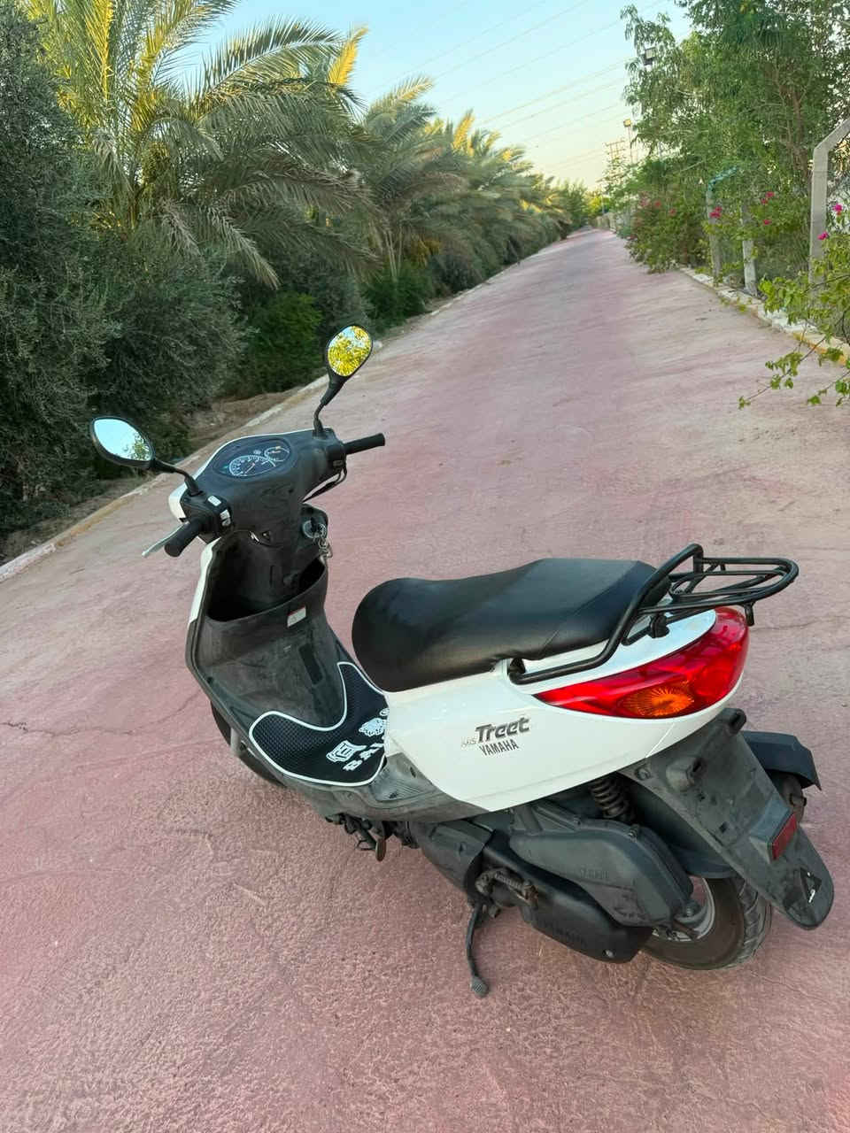دراجه أكزز اتريت 140 رمبه
طالعه من المعرض من باب طوريج يوم 2026/7/6 يعني صار 10 ايام سبب البيع ضرف صحي طارئ لاحد اطفالي
الدراجه كفاله  وصل المعرض موجود بأسمي دبل سويج لايت زنون هورن سيدان الاصلي استان حساس
صارت عليه ب2150 
احله من الصور الصوت خرسه جيب المصلح وياك وتعال بالخدمه
السعر المطلوب 1850 مع مجال قليل جداً
كربلاء حي العسكري العابد
*********** واتسأب غير متواجد ع الفيس بوك
