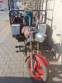 ستوته • موديل 14 • بدون سنوية