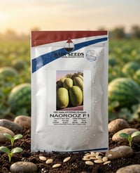 📣 متوفر الان لدى شركة الريف الخضراء   🍉 ركي NAOROOZ 🍉  من شركة Rain Se...