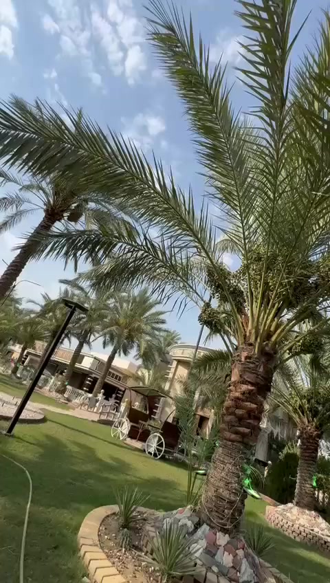 سلام عليكم يتوفر حجز المزرعه  يوم السبت و الاحد والاثنين وثلاثاء والاربعاء والخميس والجمعه كل الايام صباحي ومسائي الاتصال عل رقم ***********
واتساب ايضاً 🌸
