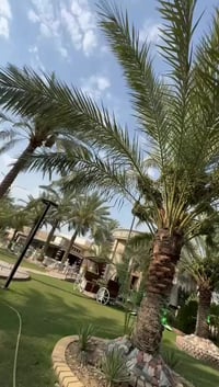 يتوفر حجز المزرعه  يوم السبت و الاحد والاثنين وثلاثاء والاربعاء والخمي...