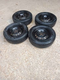 تخم للبيع سعر 225 07893350282