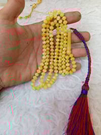 كهرب بولوني حر طبيعي شرط كصه اسطنبوليه أكثر من 101 الوزن 23 غرام ونص ا...