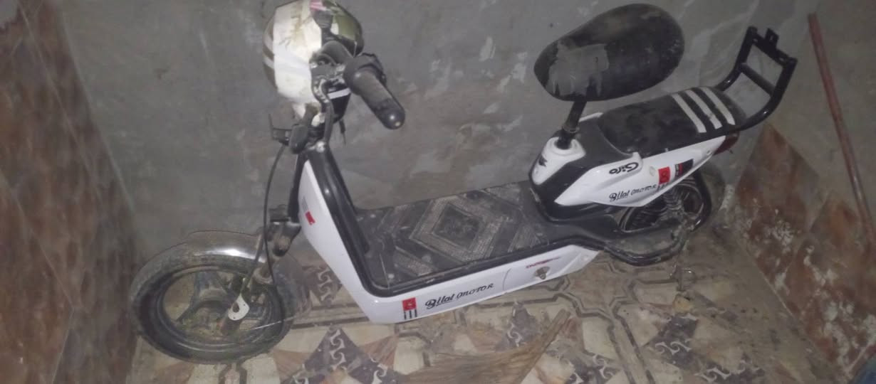 السلام عليكم دراجه شحن للبيع عوزهى بس ركبه الباقي كله شغال


**إذا كنت صاحب هذا الإعلان وتريد حذفه لأي سبب، رجاءا أرسل رسالة إلى الدعم الفني**