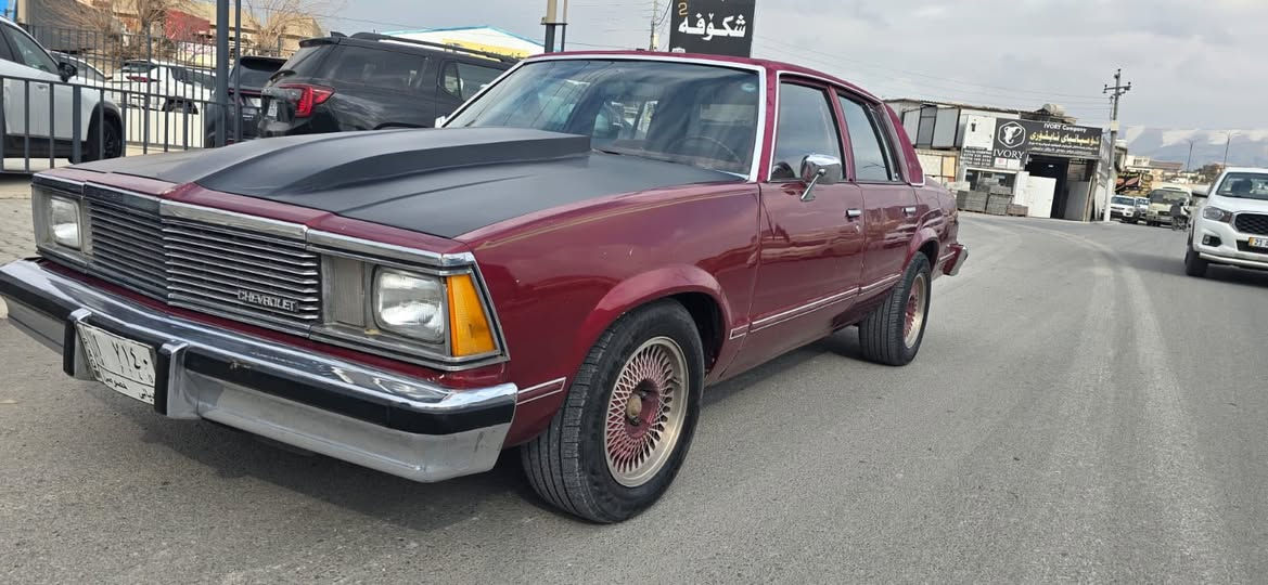 سلام عليكم سيارة ماليبو ١٩٨١ رقم ديالي حتا ٢٠٢٤ جديد وكالة بسمي تبريد ثلج محرك و كير تزويد مال تاهو 5.3 v8 شوته سبورت راديتر srt اكسل و مجموع سترين فلنجه كامل جديد مال دولفين عمار مال دولفين كهرباي كل كفاله تايرات جديد مكان سليمانية سعر ٦٥ بيه مجال رقم موبايل ***********
