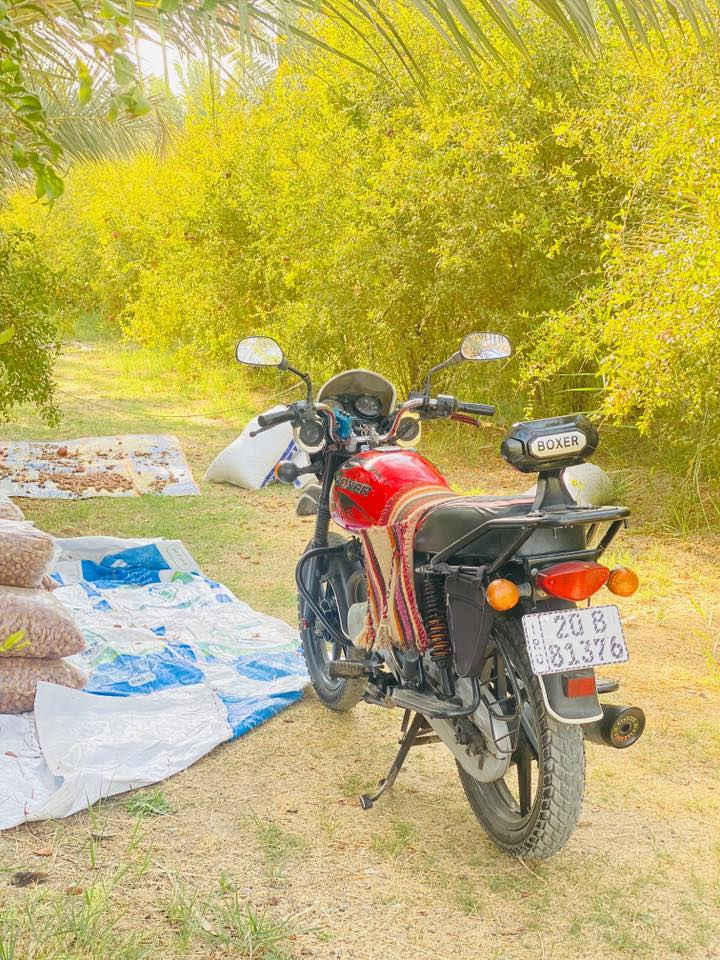 سلام عليكم بوكسر ٢١جبلي لوحه وسنويه تحويل مباشر بسمي ***********
