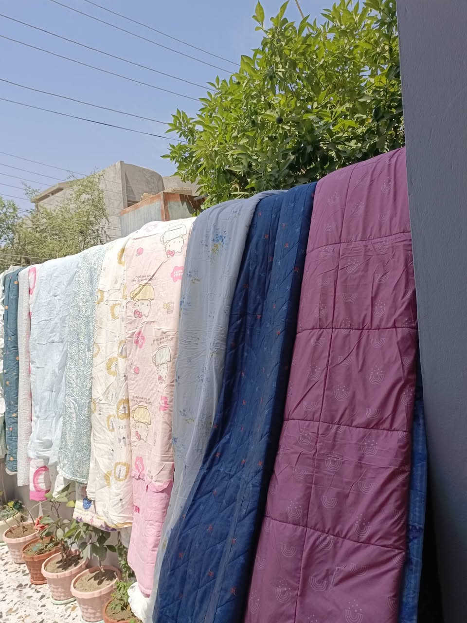 فتح وجبة لحف صيفيه نفر ونفرين وفرشات باله للجرباية العراقيه العنوان كاطون الرازي قرب مرطبات بلور شارع فرن الوسام.


**إذا كنت صاحب هذا الإعلان وتريد حذفه لأي سبب، رجاءا أرسل رسالة إلى الدعم الفني**
