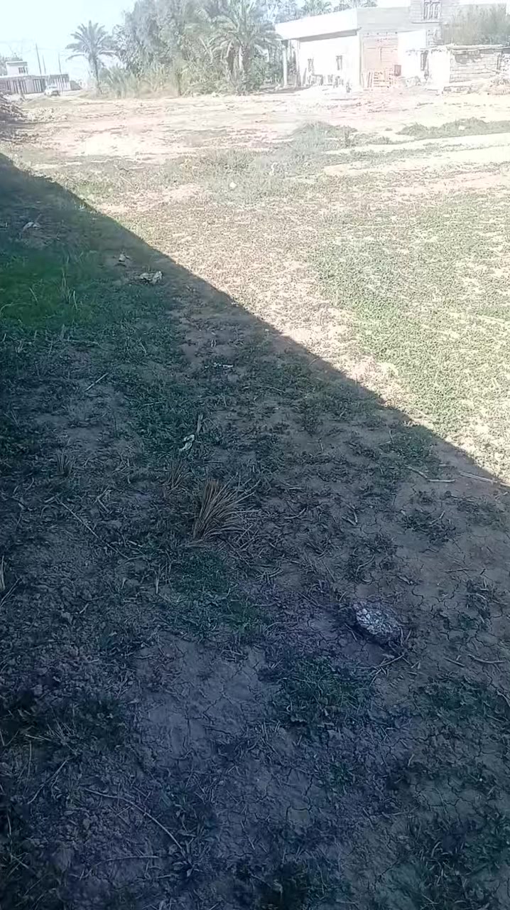 السلام عليكم يوجد قطعه ارض للبيع رقم الأتصال ***********
