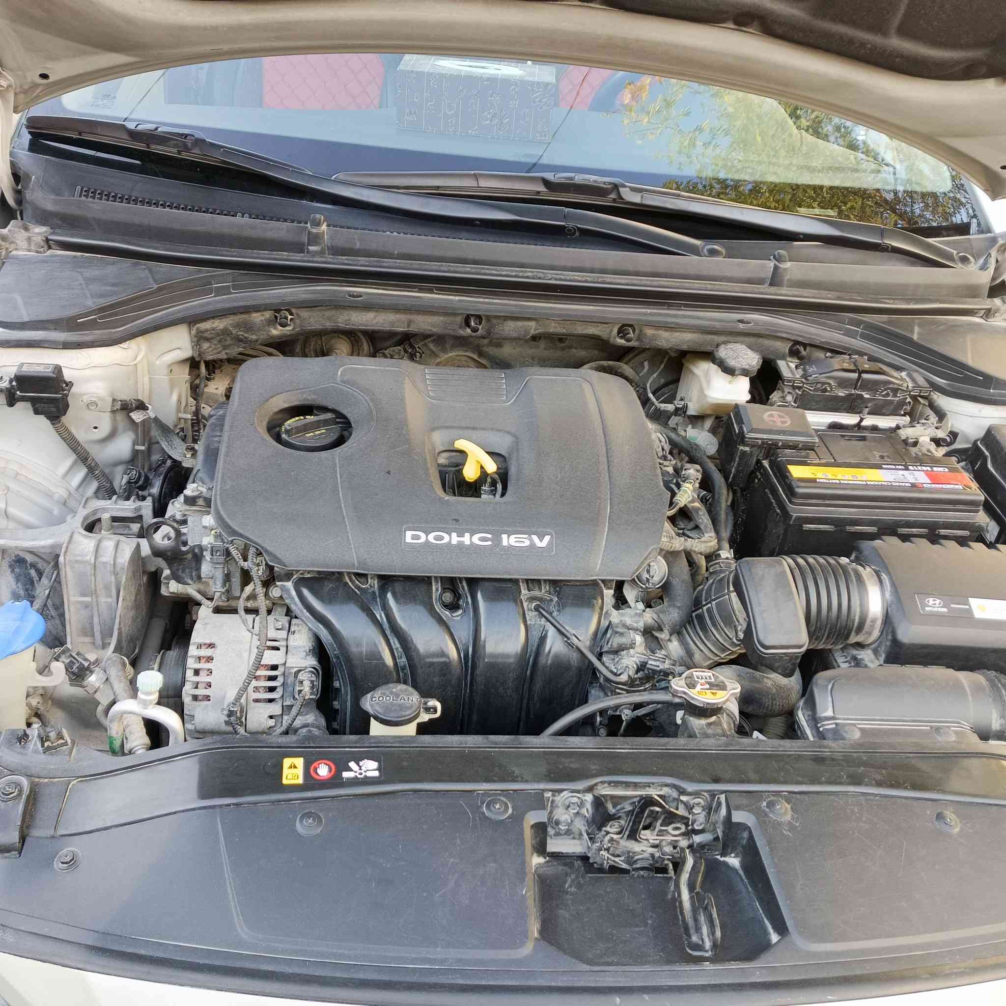 السلام عليكم
النترا موديل 2017 وارد امريكي ضرر دعاميه وجاملغ بارد فقط مكينه 2000 كفاله گير كفاله رقم كربلاء باسمي 
المواصفات: اربع بصمات ، رادار جانبي ، نقطه عمياء ،شاشه اعطال ،تحكم ستيرن جهتين مثبت سرعه ،مانع انزلاق ، كامره دوار ، 
السعر ١٢٩ ورقه 
العنوان : كربلاء المقدسة ، حي الفارس قرب الملعب الدولي 
رقم الهاتف 
***********
***********
