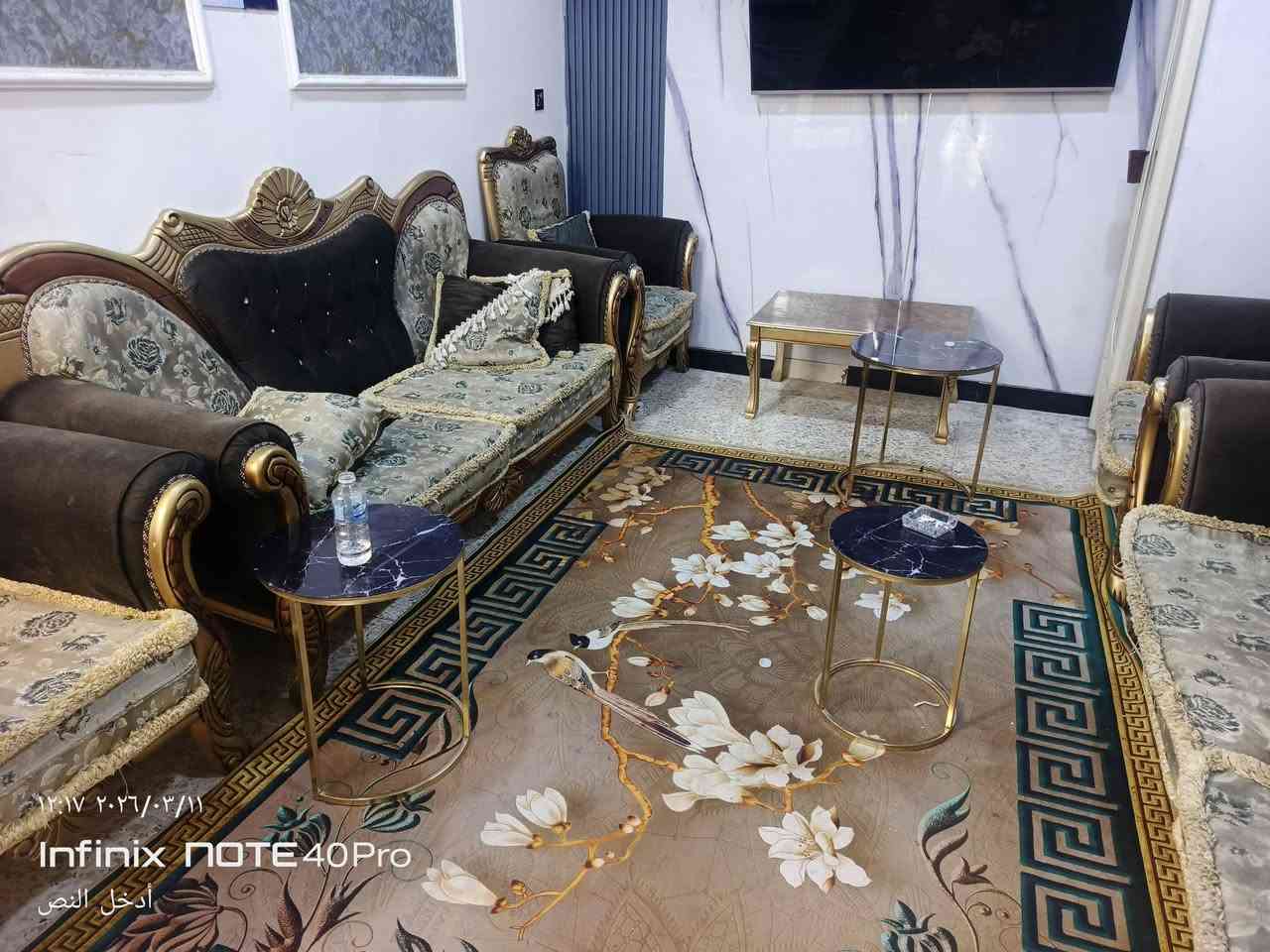 تخم للبيع 400الف بغداد الرشاد ***********
