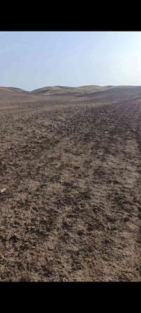 ٦٠ دونم • أرض زراعية • قرية دێبنە