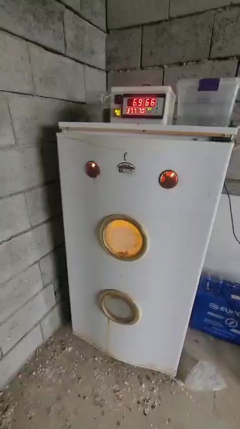 مفقس للبيع
مراسله وتساب 
او اتصال 
***********
