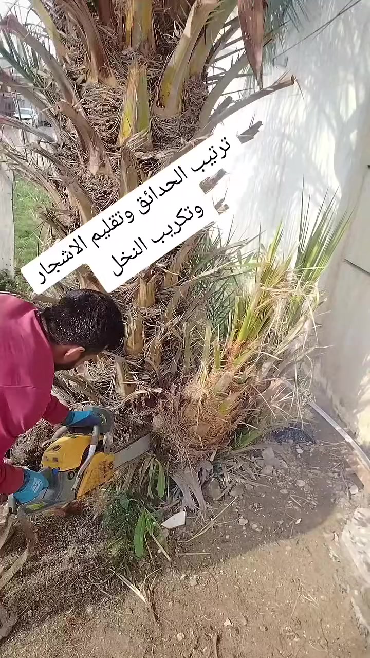للتواصل معنا واتساب ***********
