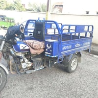 ستوته • موديل 22 • مرقمة