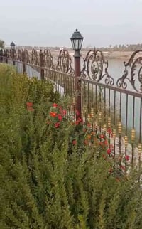 مزرعة شاطئية • ٢ دونم • التاجي