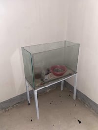 حوض اسماك • فلتر ناقص • ٨٠×٤٠×٣٠