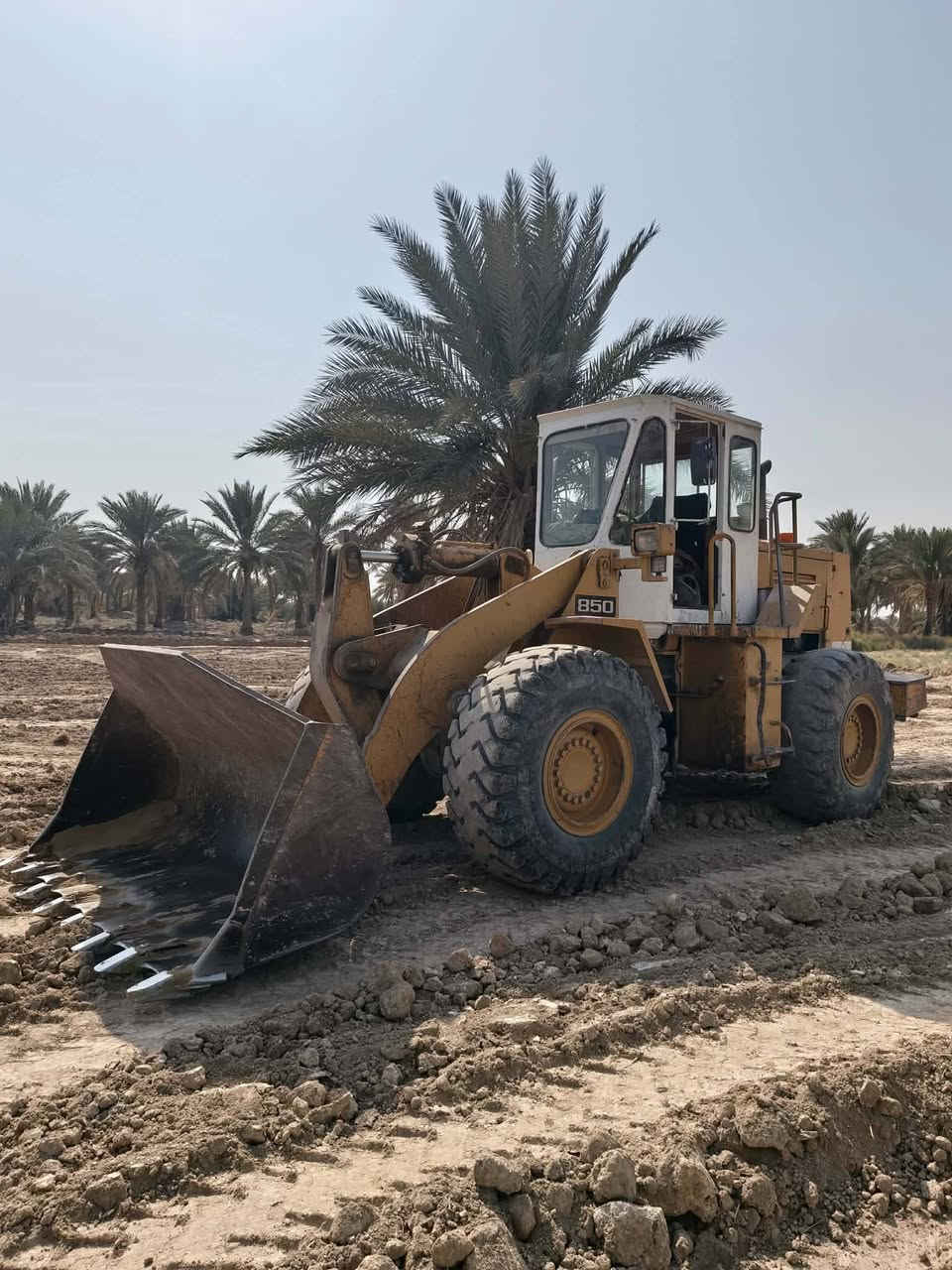 شفل للبيع ياباني    TCM أصلي موديل 2000 منفيس كامل مكينة كمنز شفل كلشي ماعايز كبل للعمل السعر 110 وبي مجال اني مكلف بلنشر 
***********
