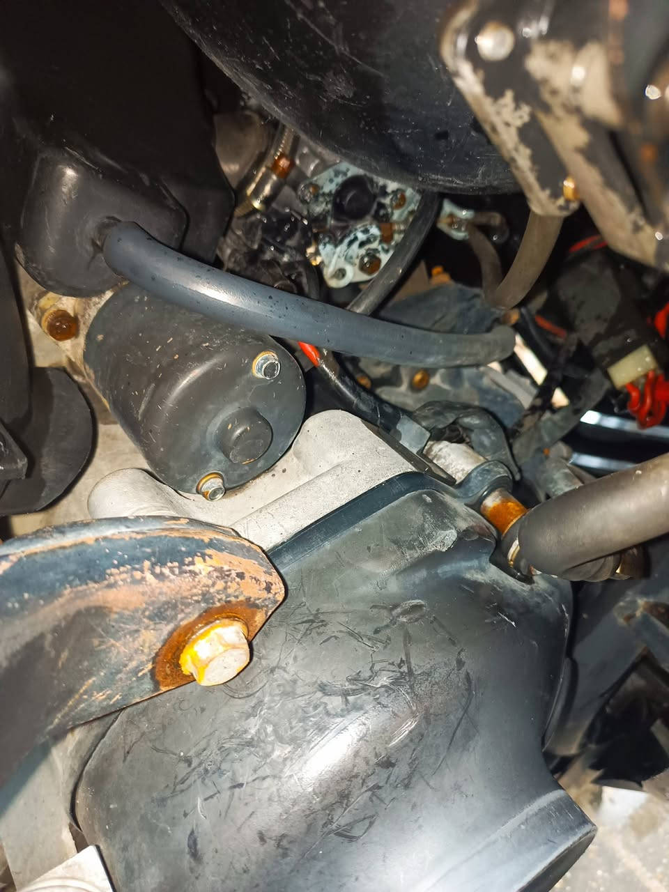 ماكس عدله للبيع كله بلاديه ابد مملعوب بيها بيها سلف رياضي من الرمبه وهاي دراجه كدامك ختم واحد وملاحه يخبل سعر 800وبيه مجال شراي اتصل ***********وخاص هم مفتوح اذا ماعدك رصيد
