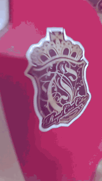 بوليس 2007 • كابريتر • ديالى