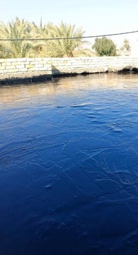 ونش تصعيد • صب الأسطح • تزفيت وفلامكوت