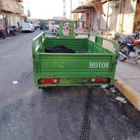 ستوتة • موديل 21 • أوراق كاملة