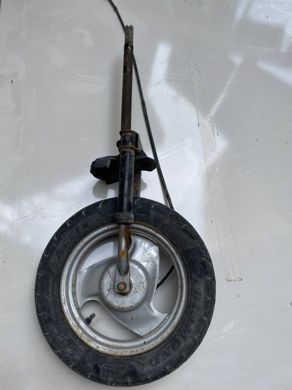 تفصيخ شمحتاج موجود مال بطه فقط *********** مكاني كربلاء حي الحر
