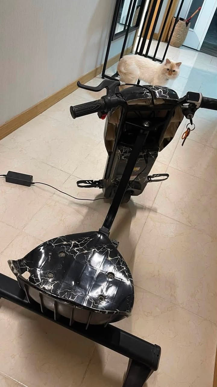للبيع سكوتر جديد
استعمال قليل جدا 
السعر 160الف


**إذا كنت صاحب هذا الإعلان وتريد حذفه لأي سبب، رجاءا أرسل رسالة إلى الدعم الفني**