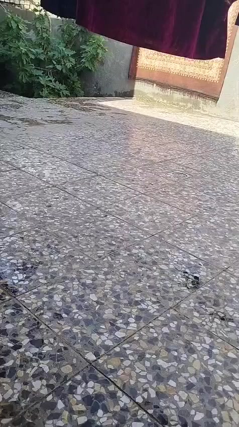 سلام عليكم عندي بيت البيع بحي لبساتين قريب علا اسواق صدرين المساحه 200 ثنين غرف حولي درج بيتونه طولاه 10متر مطبخ 5 في4 ستقبلل 6في 4 وكراج وحديقه ومجمع صحيات  سند اصفر سعر علا رقم ***********
