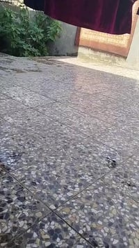 عندي بيت البيع بحي لبساتين قريب علا اسواق صدرين المساحه 200 ثنين غرف ح...