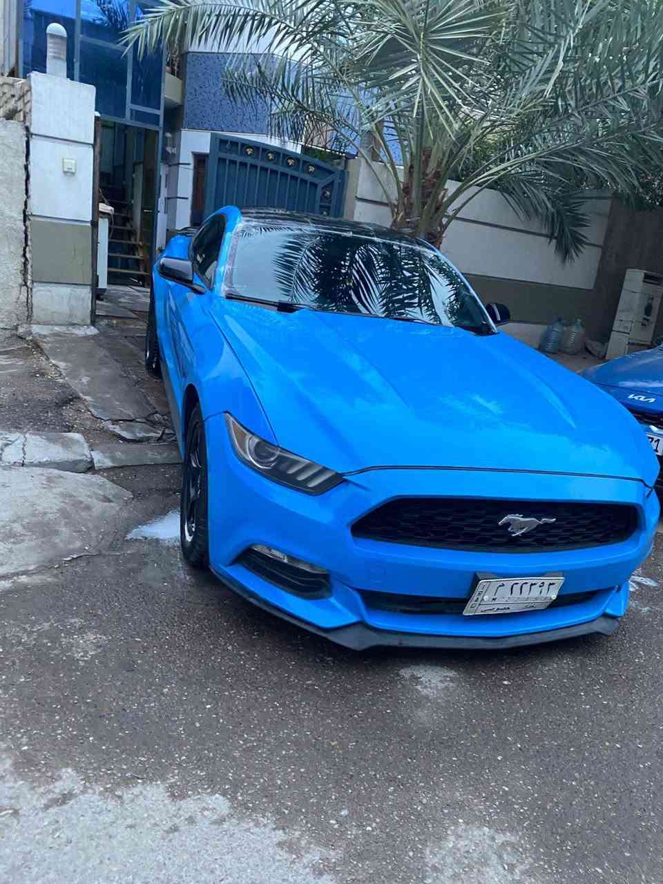 سلام عليكم
موستنك 
موديل 17
محرك V6
كير مكفول 
محرك مكفول 
شاصي مكفول 
لغد مكفول 
السياره بيهه مكينه وكير خرافيات 
ماشيه 55الف 
حادث مال امريكه فقط 
جاملغين وبنيد 
حادث سطحي 
بدون ايرباك فقط مال الرجل طاك 
السعر 149 وبيها مجال انشالله 
*********** للاتصال 
مكان السياره بغداد
