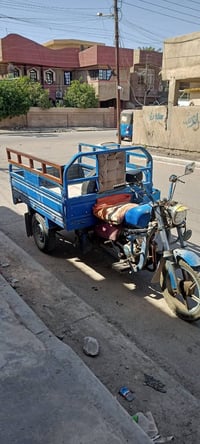 ستوتة • نظيفة • أوراق ضايعة