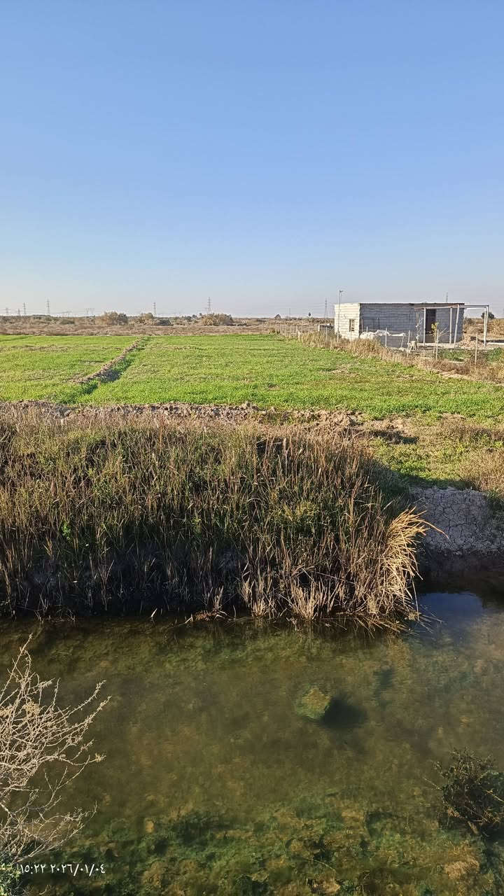أرض زراعيه للبيع 
عقد. زراعي ٣٥ 
مساحه ٤دونم الموقع كوت طريق بغداد قرب مجمع البرهان السكني الارض صالحه لزراعه والسكن ويتوفر ماء +كهرباء 
للأستفسار اكثر الإتصال على الرقم  ***********
