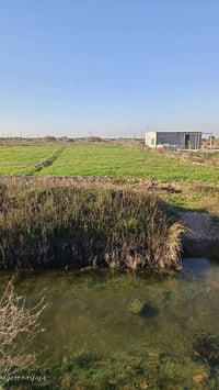 عقد زراعي • ٤ دونم • كوت طريق بغداد