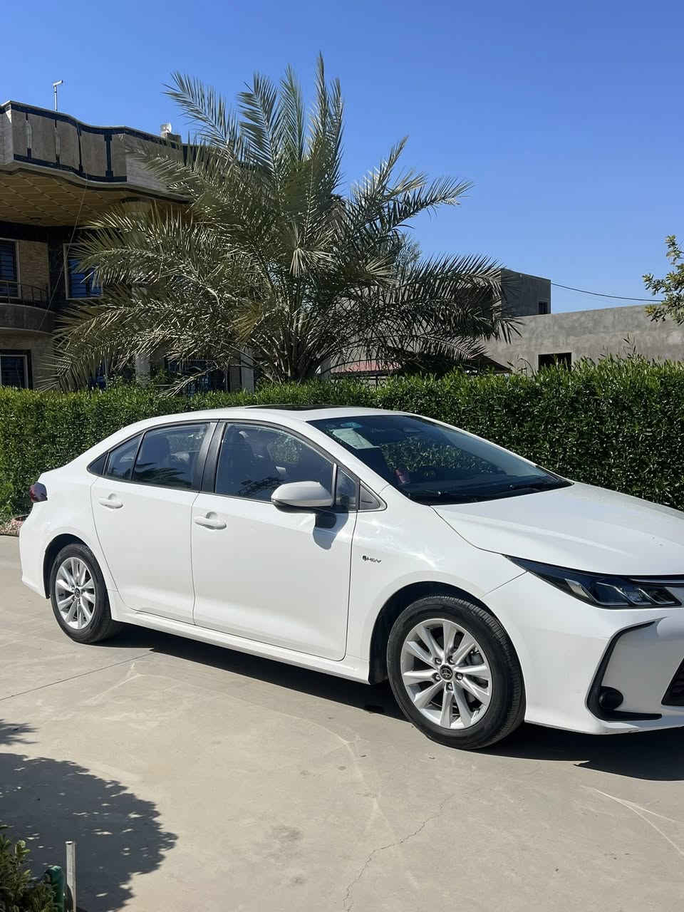 كورلا 2025 هايبرد
ماشية 25 الف كيلو 
فول مواصفات 
شكل الخليجي 
السعر 155
المكان حي الجهاد 
***********
