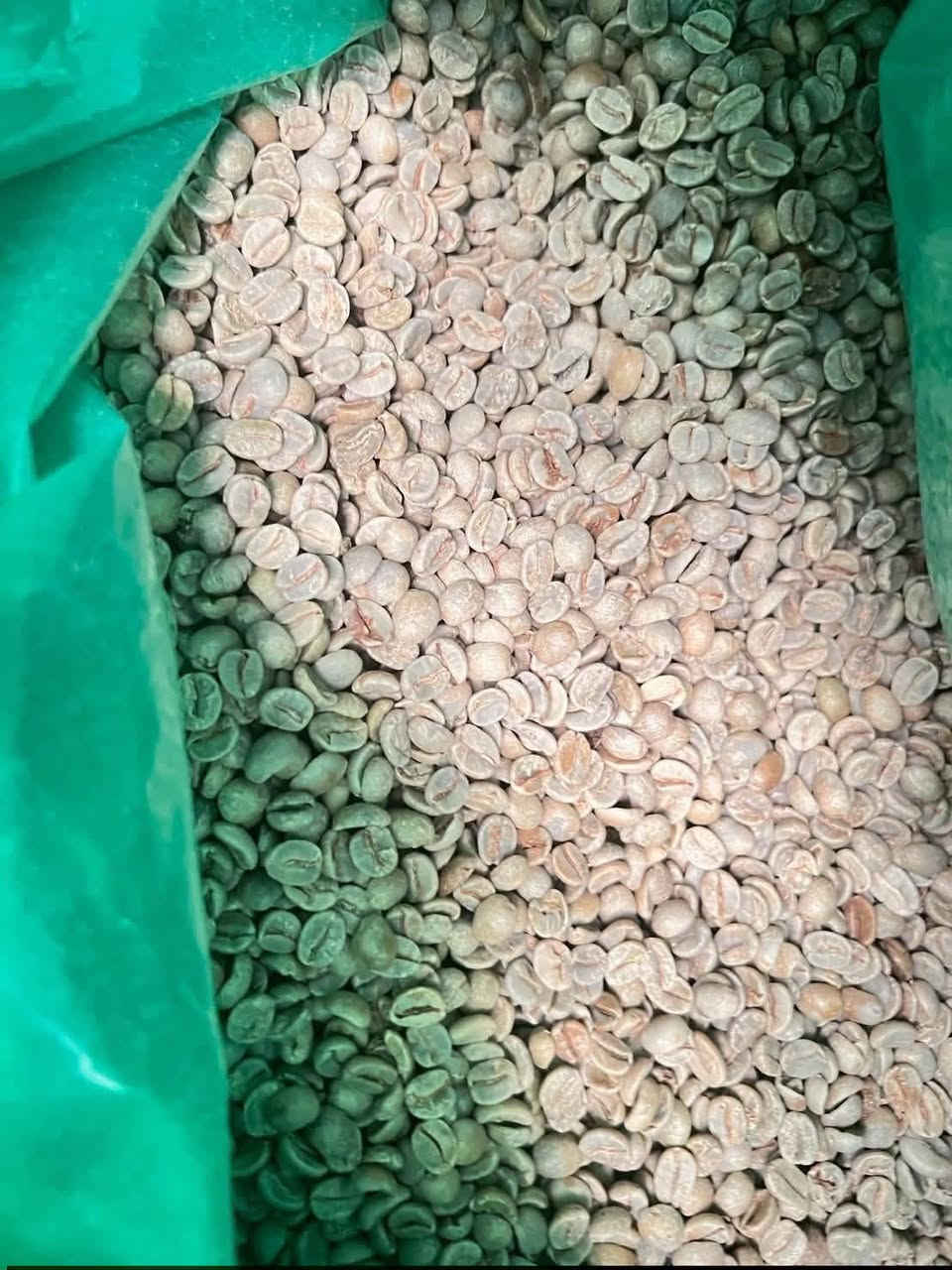 � إعلان إلى السادة التجار وأصحاب محلات بيع القهوة
يتوفر لدينا:

☕ بن أخضر كولومبي سوبريمو أرابيكا 🇨🇴
☕ بن أخضر برازيلي أرابيكا 🇧🇷

🌱 محصول 2026
✅ متوفر بكميات للجملة والمفرد
🔥 إمكانية التحميص حسب الطلب
⚙️ إمكانية الطحن حسب الطلب

للطلب والاستفسار:
📞 ***********

قهوة ذهب
الأصالة في الطعم… والإتقان في التحميص
