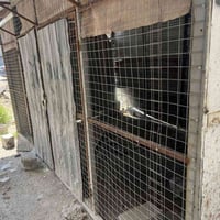 كرفان لبيع 4/5 ‭٠٧٧٣ ٢٤٨ ٦٤١٢‬