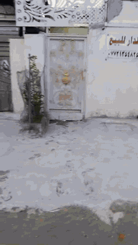 الدار البيع مساحه ،75 قرب مستشفى الشماعيه تجاوز الاسفسار على هاذ رقم ***********
