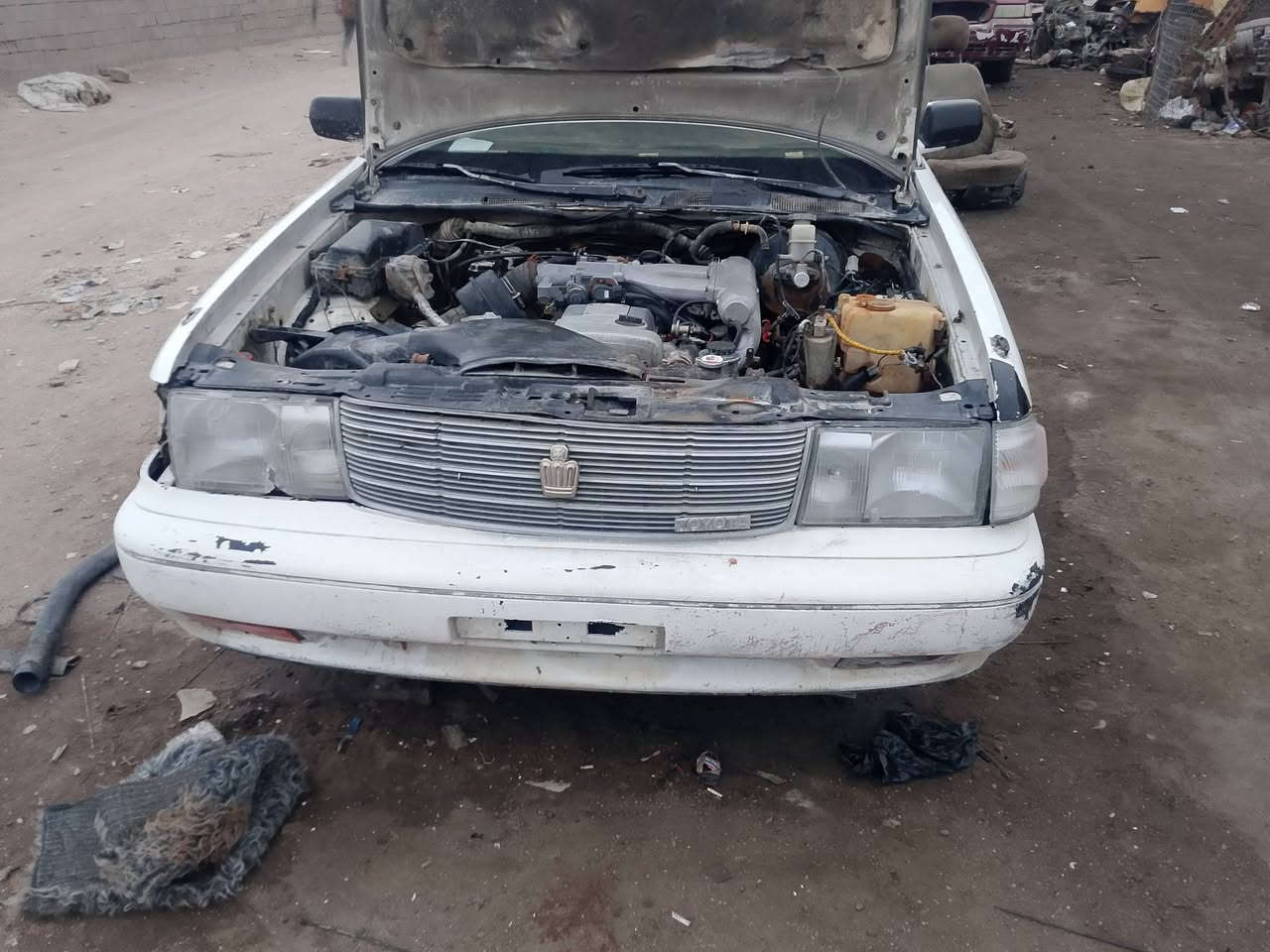 سلام عليكم يوجد غراض ارنب ستم كامل جديد البيع ومكينه ثنين ونص كامله جديده معنه كلمه ***********
