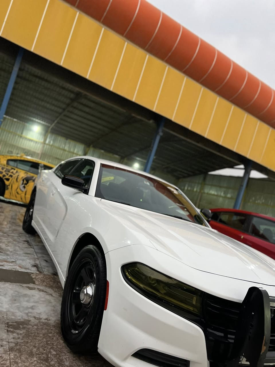 جارجر بوليسي موديل 23 اصل كفاله عامه شرط شخط واحد مبيها جاهزه للاخير رقم اربيل باسمي 
***********
