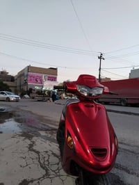 فراشة • نضيفة • مجال