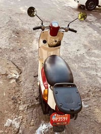 ماكس بوليس • مصبوغة • كفر بلادي