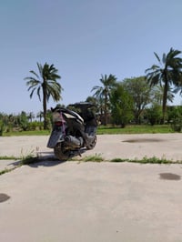 ثعلب • الغزاليه • مجال قليل