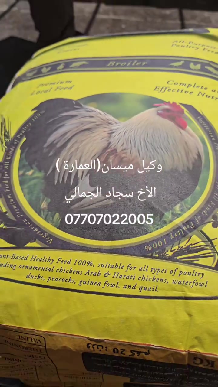 بسم الله تم تجهيز الاخ الطيب والمحترم #سجاد_الجمالي بإعلاف #هافنس_العراق 
#المكان_العمارة 
رقم الاخ سجاد 
***********
