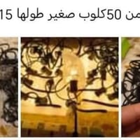 توصيل • ديكور • حديقة