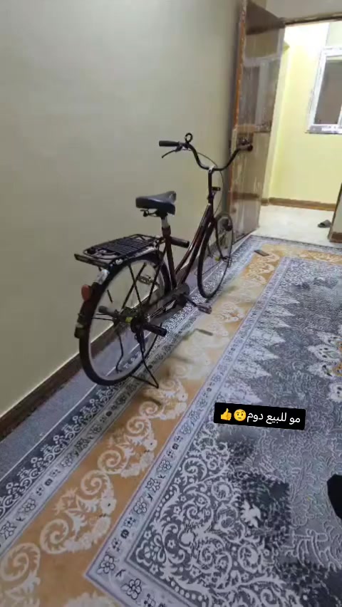 السلام عليكم باسكل صاله سبوع من طلع. من كرار تصوير كامل من طلعته. وجبته الباسكل كفاله مديل 21 سعر خاص مكاني نجف عامود 54 بل مجمعات👍♥️


**إذا كنت صاحب هذا الإعلان وتريد حذفه لأي سبب، رجاءا أرسل رسالة إلى الدعم الفني**