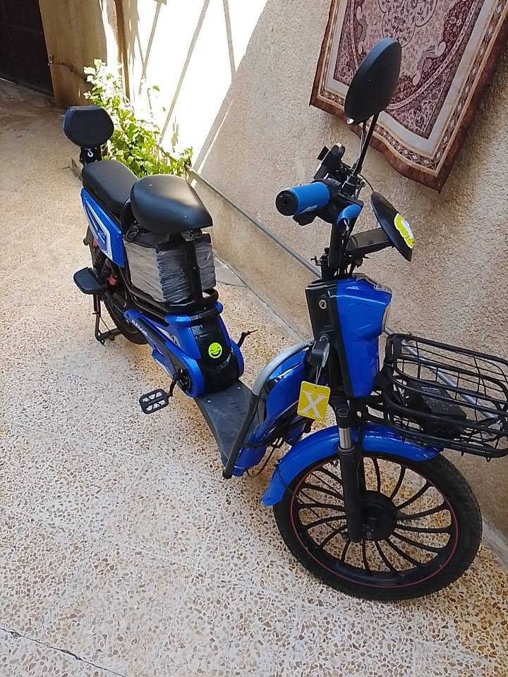 دراجه شحن للبيع موديل 2025 جديده باتريات شرط وايرمنيه كلها شغاله مشكلتو بالعقل ربطو غلط يصلح حك 30الف انطيك ماطور حك باتريات شغال اويمشي سعرو 250 الشراي بي مجال


**إذا كنت صاحب هذا الإعلان وتريد حذفه لأي سبب، رجاءا أرسل رسالة إلى الدعم الفني**