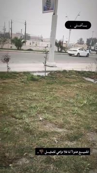 باسكل BD • نضافة • فول