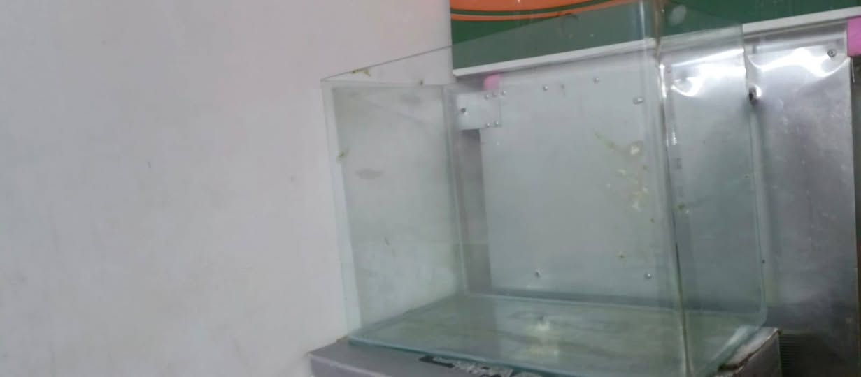 حوض سمج سعره 10 آلاف مكان نجف


**إذا كنت صاحب هذا الإعلان وتريد حذفه لأي سبب، رجاءا أرسل رسالة إلى الدعم الفني**