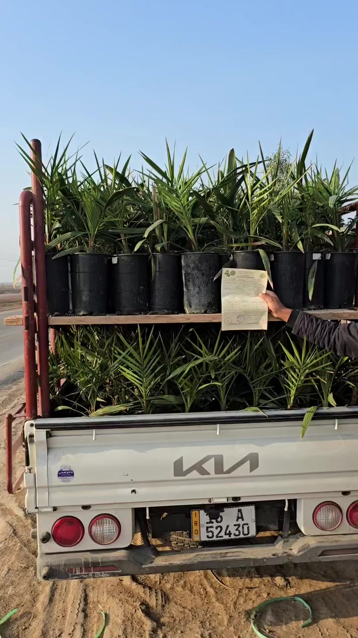 ***********
***********
