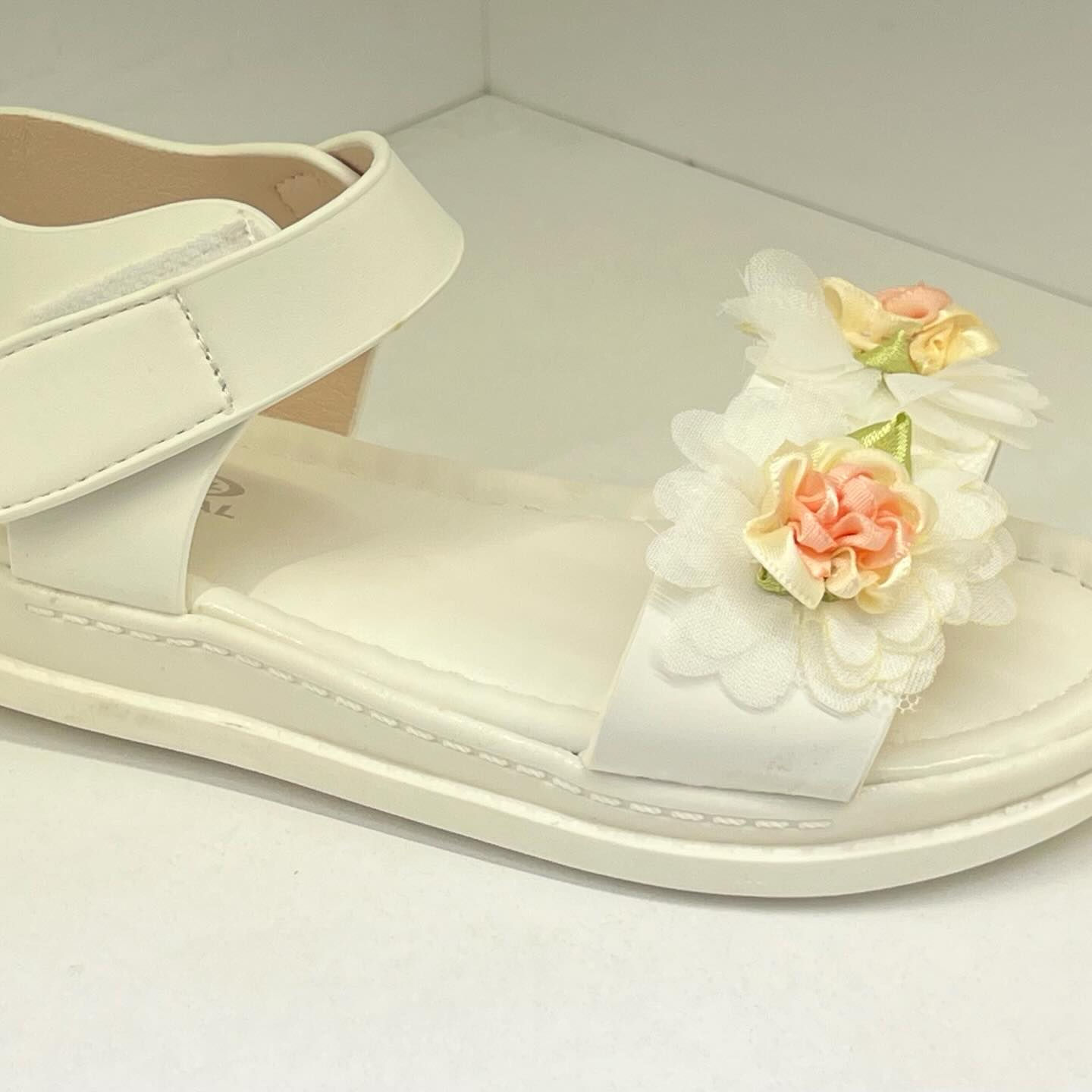 صندل بناتي موديل أوروبي جديد وحصري ✨
موديل ناعم وأنيق مناسب للطلعات والمناسبات 🌷

👧 قياسات: من 26 إلى 37
🎨 الألوان المتوفرة: أبيض 🤍 / أوف وايت 🤍✨
🦶 القاعدة: طبية مرنة (جيلاتين) مريحة للمشي الطويل
🌸 التصميم: مزين بالورد بشكل راقي وجذاب
💎 الموديل: جديد وحصري

📍 العنوان: واسط - الكوت - شارع الأطباء - قرب د. علي ياسر


**إذا كنت صاحب هذا الإعلان وتريد حذفه لأي سبب، رجاءا أرسل رسالة إلى الدعم الفني**